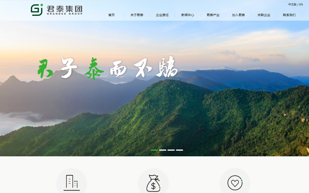 君泰集團企業(yè)品牌網(wǎng)站建設制作
