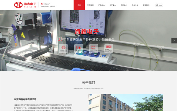 海鑫電子企業(yè)營銷網(wǎng)站建設(shè)